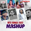 Hits Songs 2022 DJ Mashup